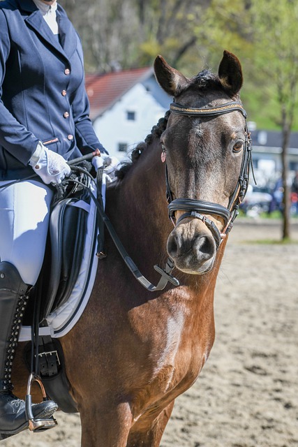 接下来的赛 接下来的赛