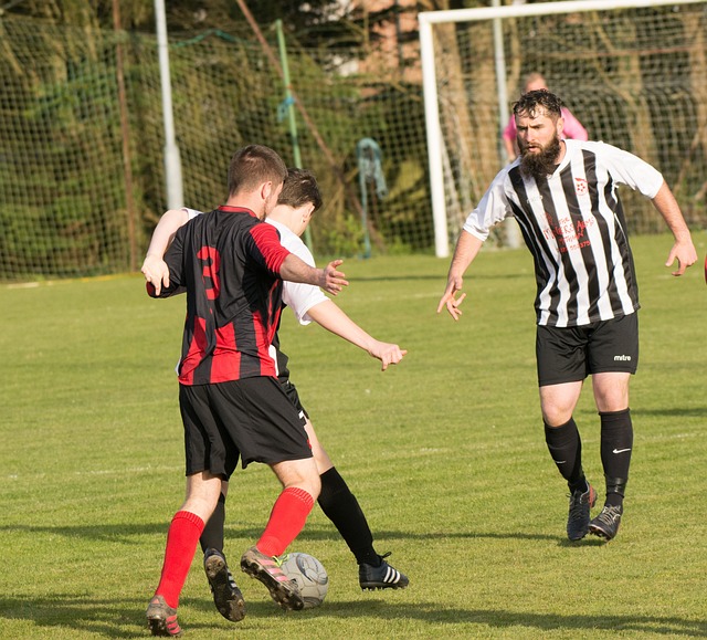 对老年人生 对老年人生