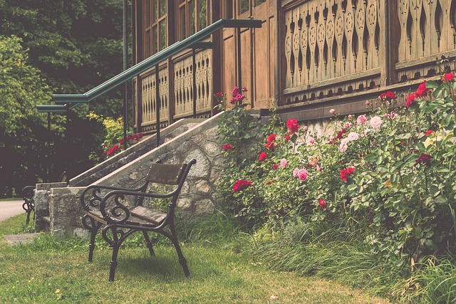 探索鹈鹕的 探索鹈鹕的