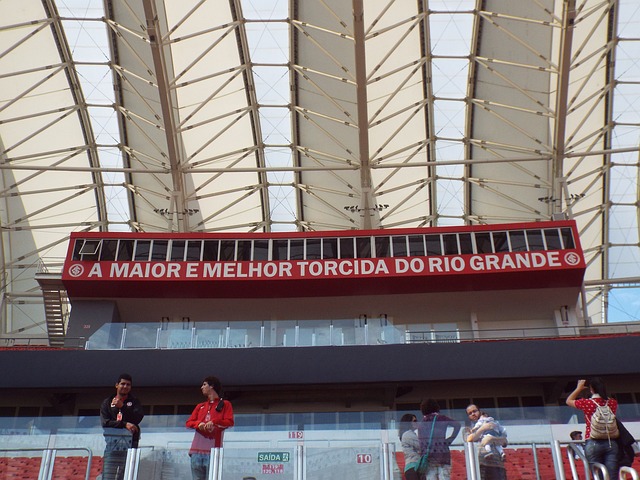 将不仅带来 将不仅带来