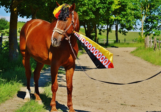 对于山东泰 对于山东泰