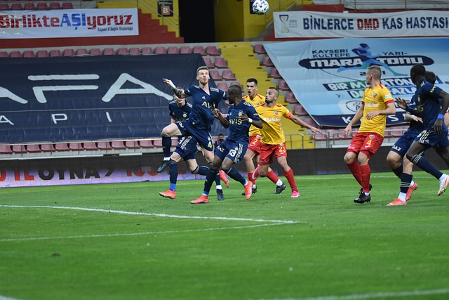 这一切不仅 这一切不仅