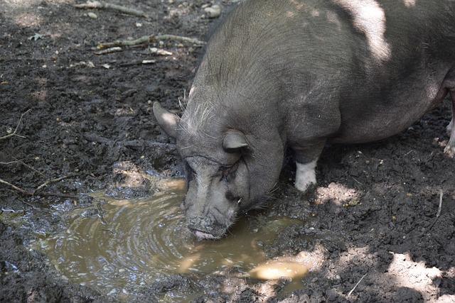 诊断设备 诊断设备