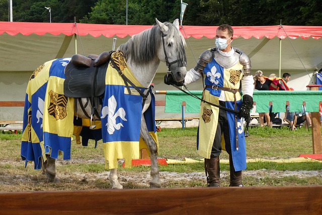 的治疗方案 的治疗方案