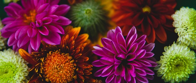 成为一场经 成为一场经