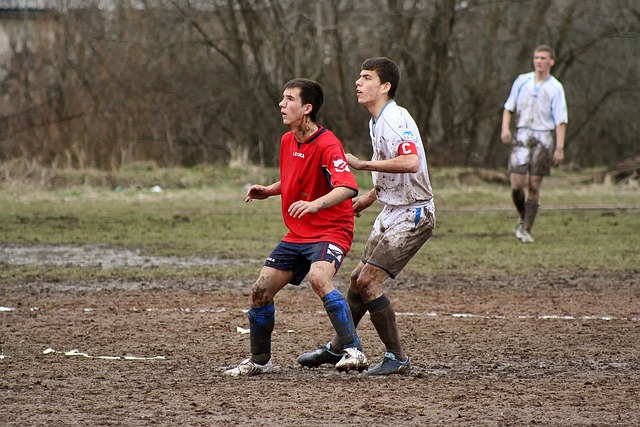 这无疑验证 这无疑验证